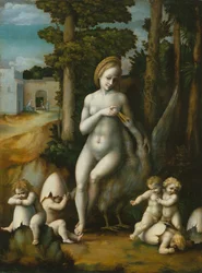 Leda y el cisne