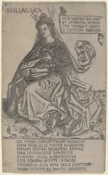Sibila libia