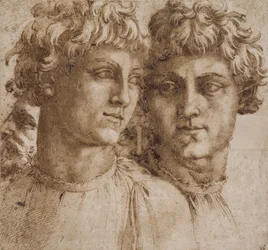 Dos estudios de la cabeza de un joven, c.1550