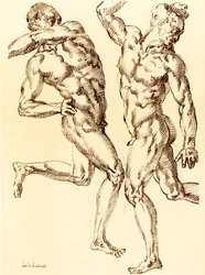 Dos estudios de desnudos masculinos