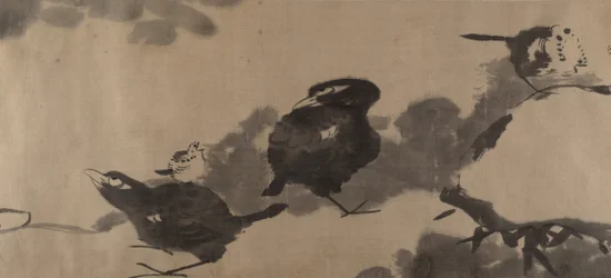 Aves en un estanque de lotos