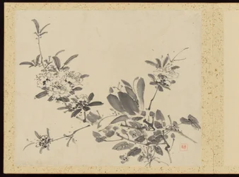 "Elegancia refinada en las cuatro estaciones" (Shiji seiga), Álbum de pinturas florales