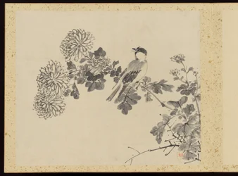 "Elegancia refinada en las cuatro estaciones" (Shiji seiga), Álbum de pinturas florales