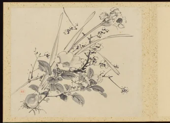 "Elegancia refinada en las cuatro estaciones" (Shiji seiga), Álbum de pinturas florales
