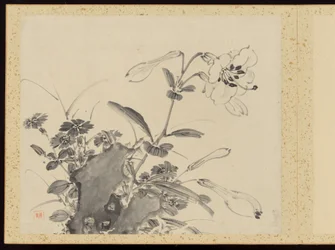 "Elegancia refinada en las cuatro estaciones" (Shiji seiga), Álbum de pinturas florales