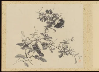 "Elegancia refinada en las cuatro estaciones" (Shiji seiga), Álbum de pinturas florales