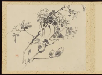 "Elegancia refinada en las cuatro estaciones" (Shiji seiga), Álbum de pinturas florales
