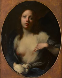 Pintura de una joven con paloma blanca (óleo sobre lienzo)