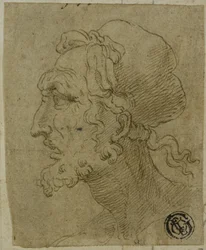 Cabeza masculina de perfil