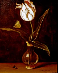 Un tulipán en un jarrón