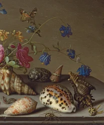 Flores, Conchas e Insectos en un Ledge de Piedra