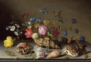 Flores, Conchas e Insectos en un Alfeizar de Piedra