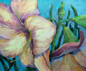 Amaryllis 2, c.1990-2000 (óleo sobre lienzo)