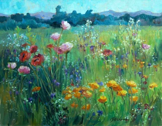 Campo de amapolas, c.1980-95 (óleo sobre lienzo)