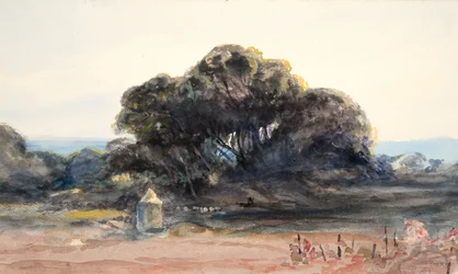 Paisaje: Pino y torrecilla (acuarela y grafito sobre papel de trama )