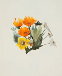 Flores de naranja (acuarela y grafito sobre papel de trama)