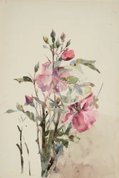 Tallos de flores rosas (acuarela sobre papel)