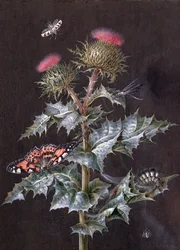 Estudio de un Cardo con Insectos