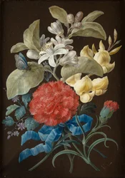 Conjunto de Cuatro Bodegones con Mariposas
