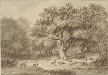 Paisaje forestal con ciervos