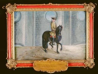 No. 17 Un caballo bayo oscuro de la Escuela Española de Equitación realizando un paso de doma de hombro adentro