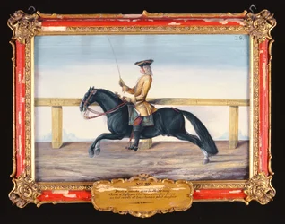 N.º 28 Un caballo español negro de la Escuela Española de Equitación que realiza un movimiento de doma