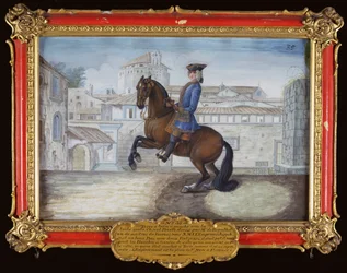 No. 35 Un caballo bayo de Berbería de la Escuela Española de Equitación realizando un movimiento de doma en la Plaza de San Marcos, Florencia