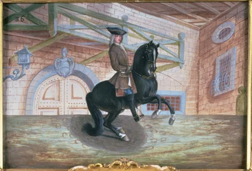 No. 36 Un caballo bayo marrón de la Escuela Española de Equitación realizando una pirueta cerca del suelo