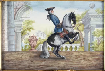 No. 41 Un caballo pinto de la Escuela Española de Equitación realizando la Pesade