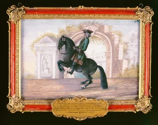 No. 42 Agrable, un caballo marrón oscuro de la Escuela Española de Equitación realizando un movimiento de doma llamado Curvet