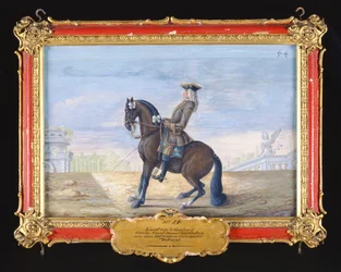 No. 54 Un caballo bayo castaño danés de la Escuela Española de Equitación realizando un movimiento de doma