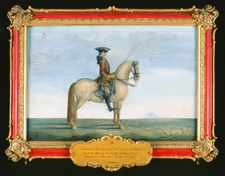 No. 9 Un caballo gris de la Escuela Española de Equitación, del haras del conde de Kaunitz en Bohemia