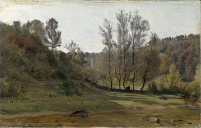 Arroyo en el prado