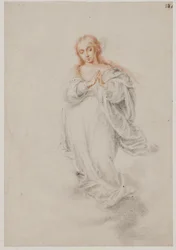 La inmaculada concepción, Virgen María