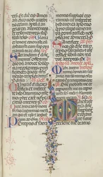 Misal: Fol. 260: Follaje con frutas, 1469