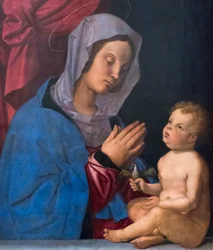 Virgen con el Niño, c.1503 (óleo sobre tabla de madera)