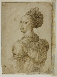 Busto Ideal de una Mujer