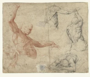 Estudios de desnudo de un hombre