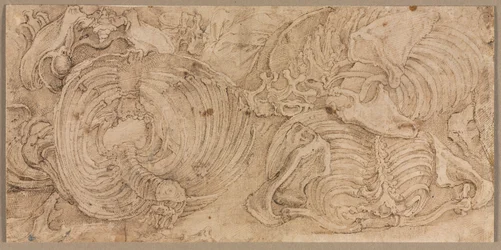 Cajas torácicas, principios de 1540