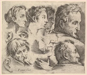 Estudios de cabezas