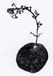 Hoja de liquen, 2014 (Grabado en madera, collage sobre papel)