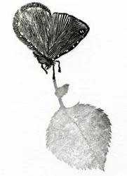 Suspenso, 2014 (Xilografía, collage sobre papel)