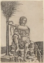 Hombre sentado junto a una palmera