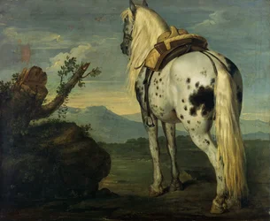 Un caballo Selle Français en un paisaje
