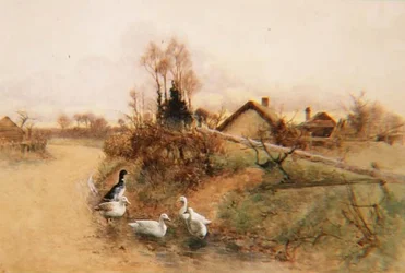 Patos Chapoteando