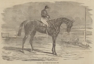 Andover, el ganador del Derby, 1854
