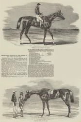 Carreras de Epsom, retratos de los ganadores del Derby y los Oaks