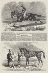 Caballos de Carrera Ganadores