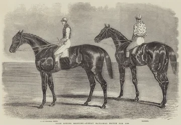 Reunión de primavera en York, Gran partido nacional por £1000