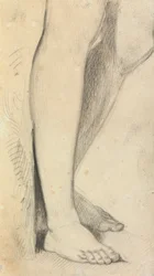 Figura Estudio de las piernas